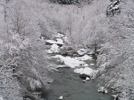 paysage sous la neige DEC 2008