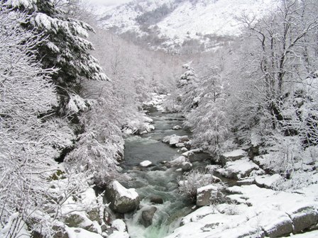 paysage sous la neige DEC 2008