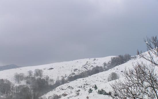 paysage sous la neige
